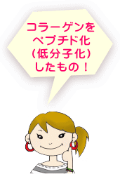 コラーゲンペプチドとは、コラーゲンをペプチド化(低分子化)したもの!