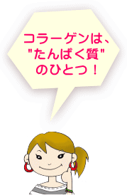 コラーゲンは、たんぱく質のひとつ!